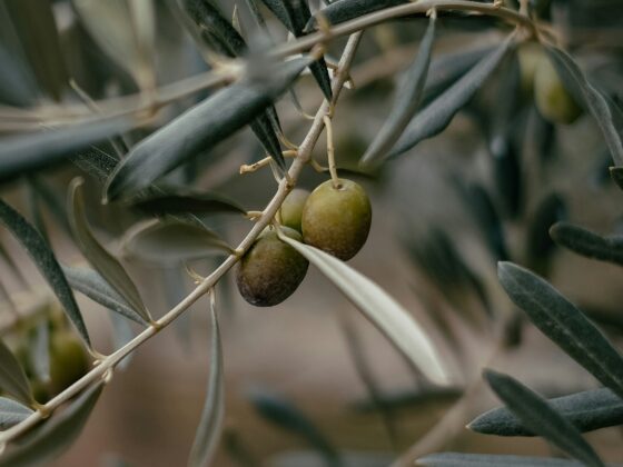 Edeltraud Ulbing Beratung für die Hospitality, Consulting, Hotelbranding