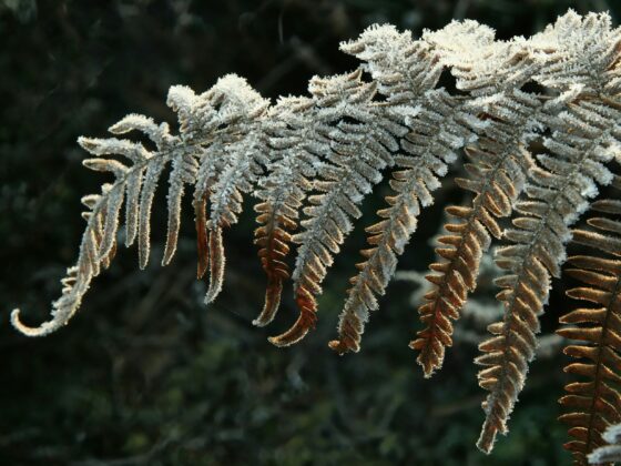 Edeltraud Ulbing Beratung für die Hospitality, Consulting, Hotelbranding