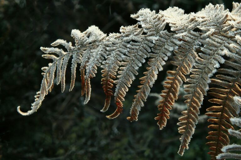 Edeltraud Ulbing Beratung für die Hospitality, Consulting, Hotelbranding