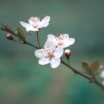 Edeltraud Ulbing Beratung für die Hospitality, Consulting, Hotelbranding